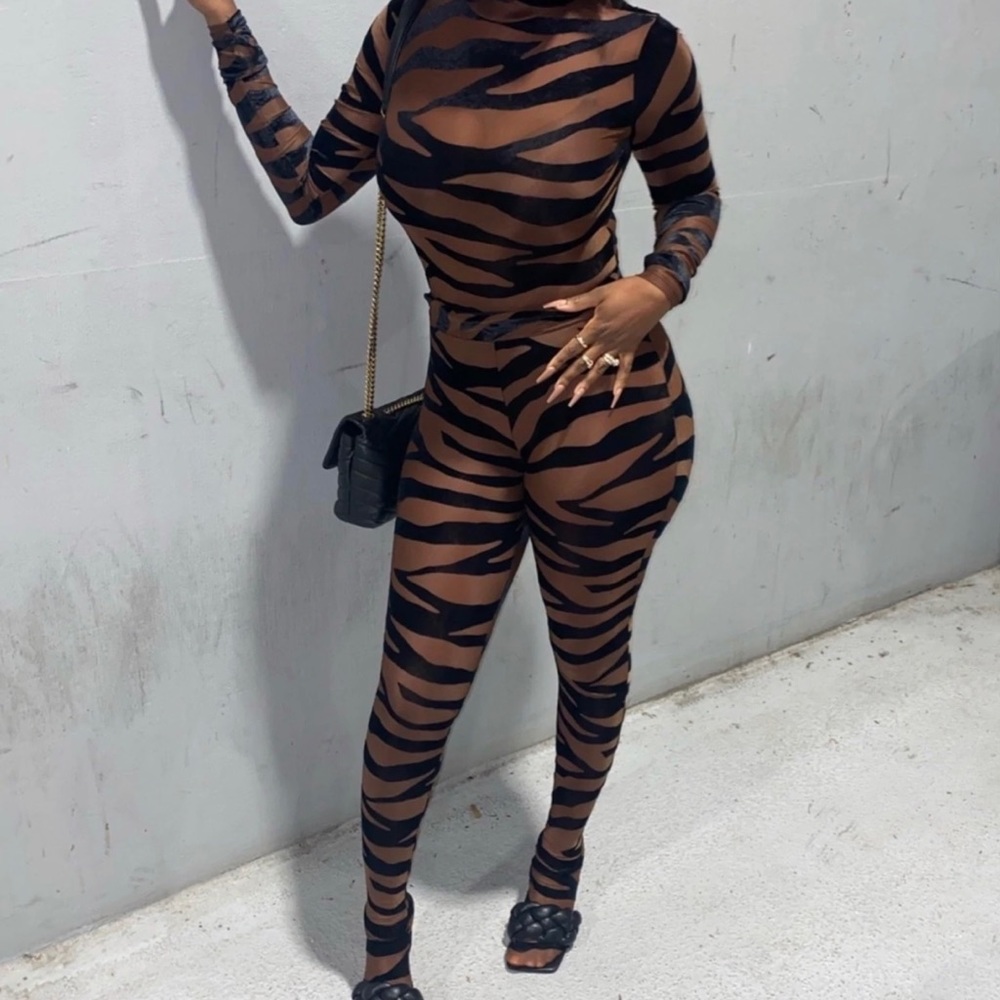 Zebra print mesh two piece